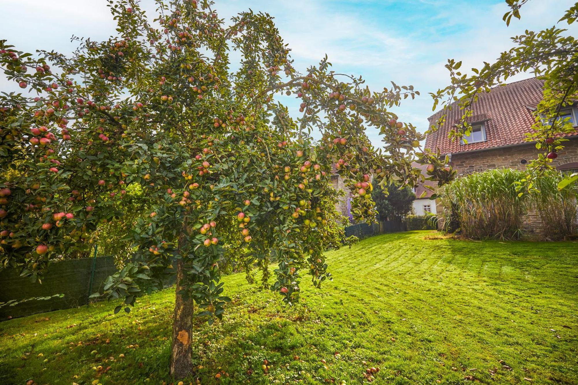Landhaus Schieder Exterior foto